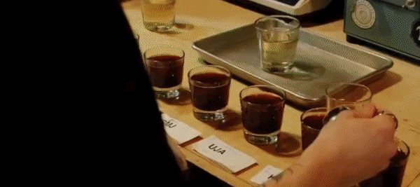 A video reel of coffee being made in a coffee shop, friends cheersing with coffee, a barista making coffee behind the counter, people sipping coffee and cupping coffee.
